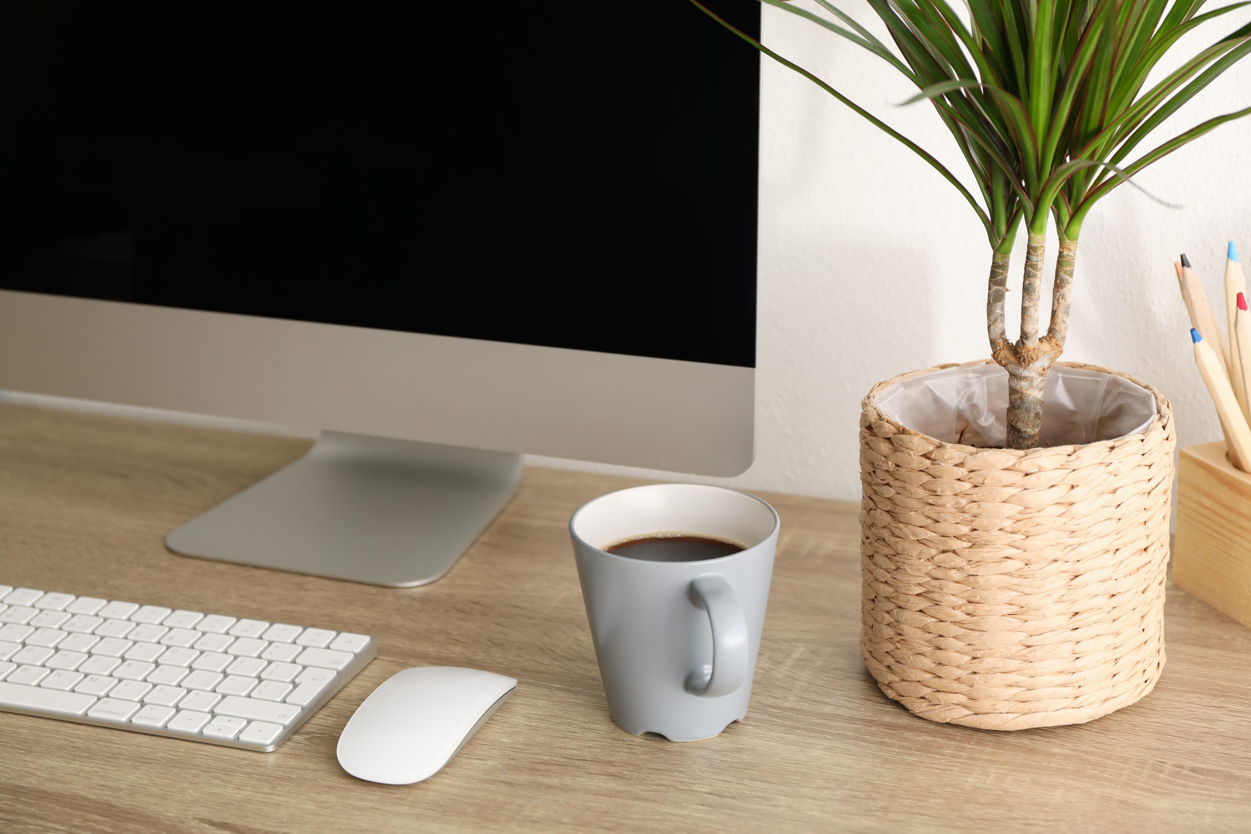 Workplace with computer, plant and cup of coffee on wooden table, close up